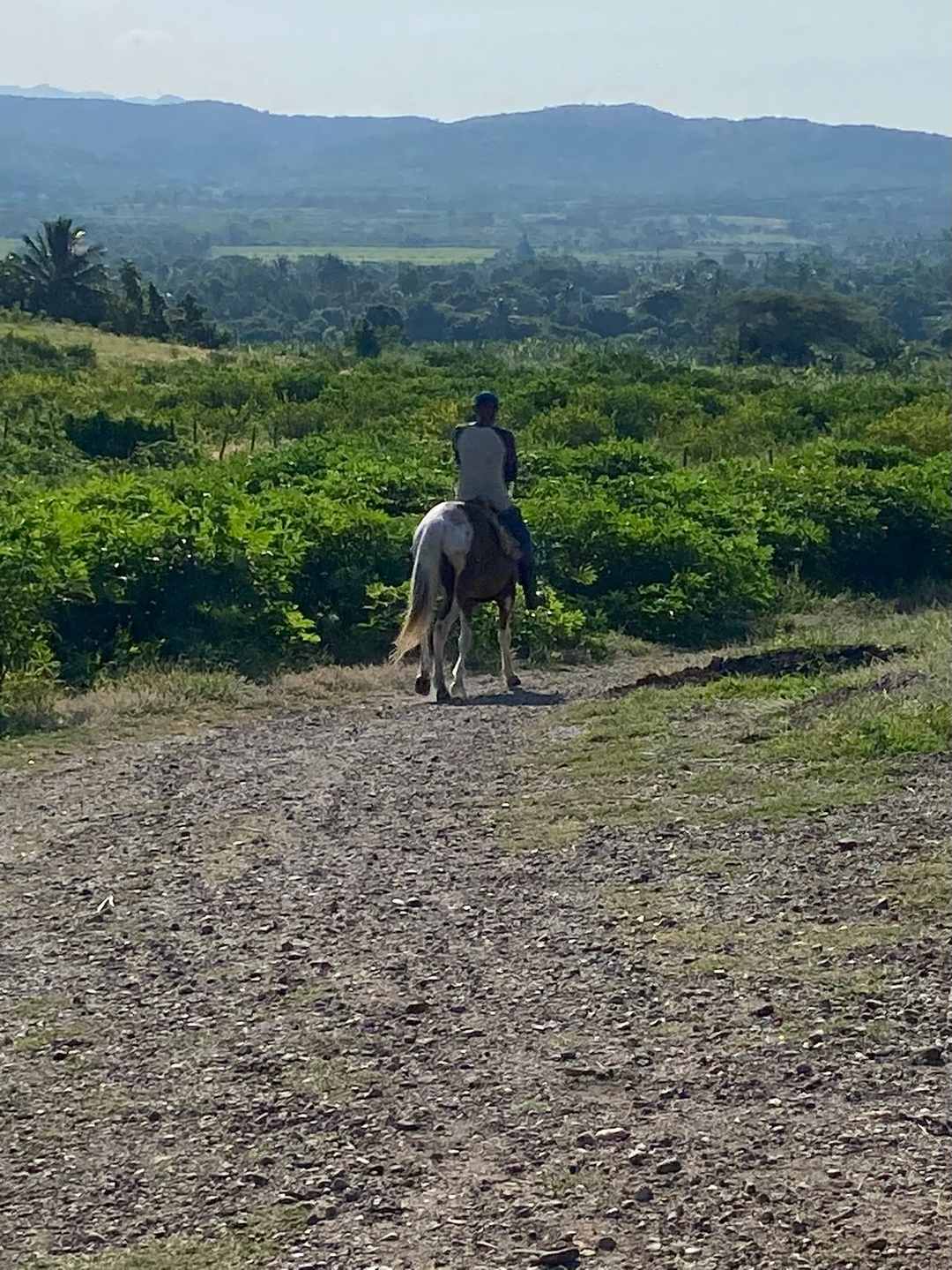 Un caballo y su jinete frente al valle y las montañas de Azua